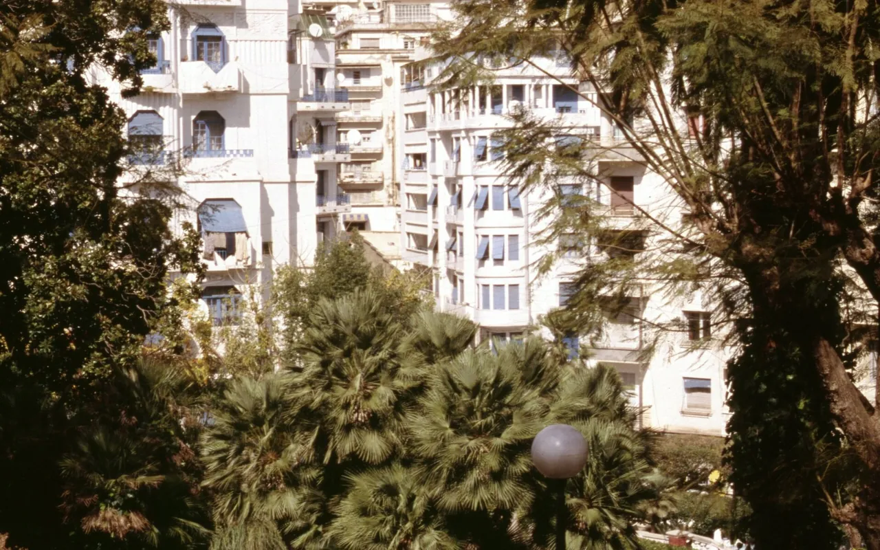 Immeubles entourés de palmiers et d’espaces verts à Alger